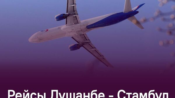 Самолеты между Душанбе и Стамбулом будут летать каждый день - Sputnik Таджикистан