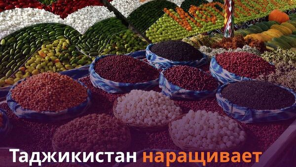 Свыше 240 млн потратил Таджикистан на импорт растительной продукции за четыре месяца - Sputnik Таджикистан