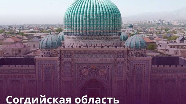 Согд привлекает пакистанских партнеров инвестиционным потенциалом - Sputnik Таджикистан