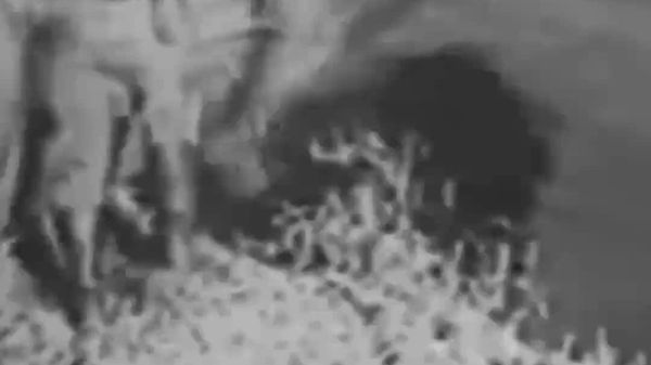 «Бархез, кишвари бузург!»: 22 июни соли 1941 сарзамини Шӯравӣ аз ҳамлаи истилогарони фашистӣ ба ларза омад - Sputnik Тоҷикистон