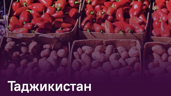 От идеи до контракта: Таджикистан и Кыргызстан создали Деловой совет для расширения торговли - Sputnik Таджикистан