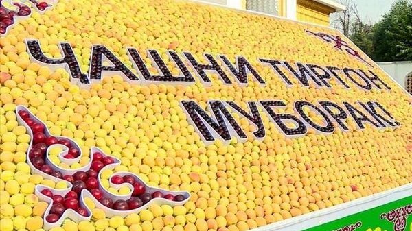 Фестивалем абрикосов и выставкой Сухофрукты Таджикистана отпразднуют Тиргон в Душанбе - Sputnik Таджикистан