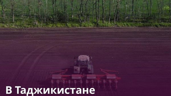 Почти на 12 млрд сомони произведено сельхозпродукции в Таджикистане с начала года - Sputnik Таджикистан