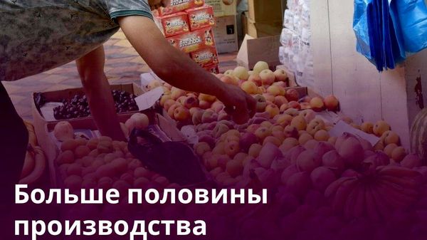 Доля дехканских хозяйств в Таджикистане составляет почти 26% - Sputnik Таджикистан