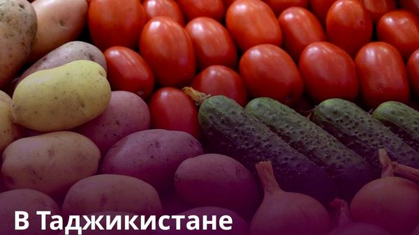 Почти 300 тыс - Sputnik Таджикистан