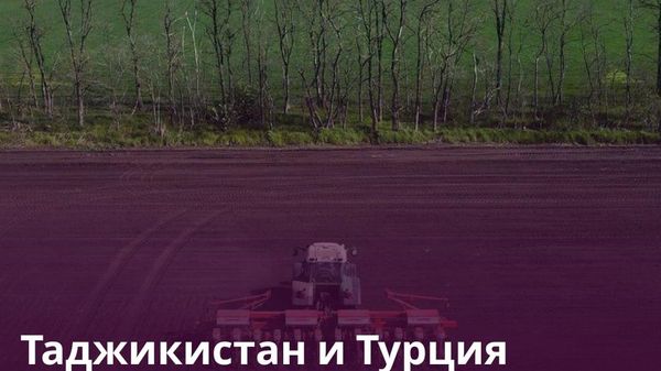 Турция обеспечит Таджикистан семенами хлопка и картофеля - Sputnik Таджикистан
