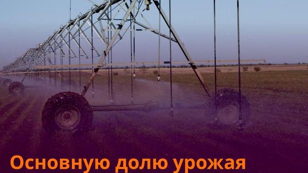 В Таджикистане более 80% сельхозпродукции дают орошаемые земли - Sputnik Таджикистан