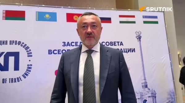 Миллионы людей в СНГ лишены возможности реализовать свои трудовые права из-за отсутствия общего и цивилизованного рынка труда — депутат Госдумы РФ Виктор Пинский - Sputnik Таджикистан