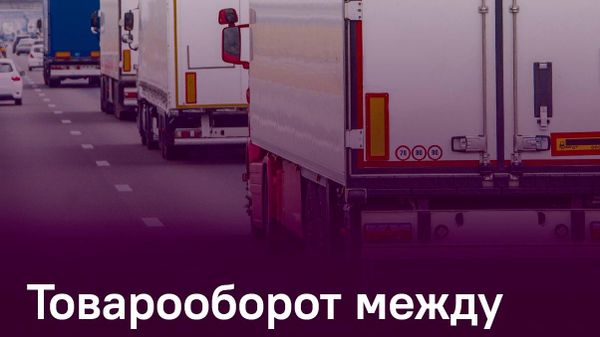 Более $43 млн составил товарооборот Таджикистана и Афганистана за пять месяцев - Sputnik Таджикистан