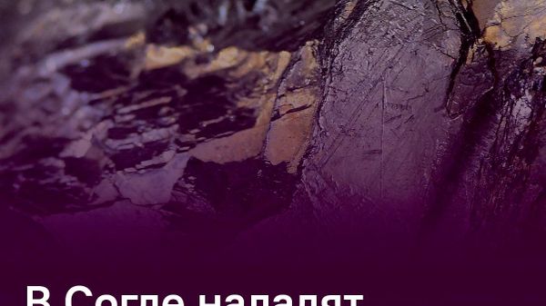 В строительство нового завода по переработке сурьмы в Таджикистане вложат $35 млн - Sputnik Таджикистан
