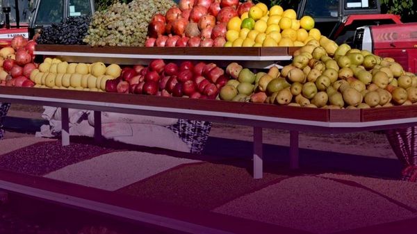 Таджикистан импортировал сельхозпродукцию на $330 млн - Sputnik Таджикистан