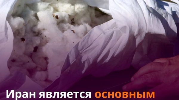 Таджикистан отправил за рубеж хлопковую пряжу на $73,5 млн - Sputnik Таджикистан