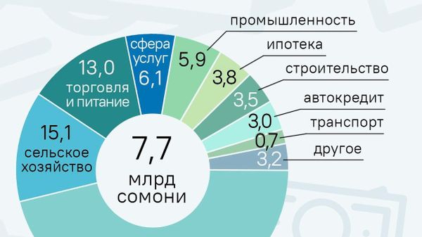 Больше всего в Таджикистане берут потребительские кредиты - Sputnik Таджикистан