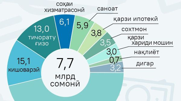 Қариб нисфи қарзҳои додашуда дар Тоҷикистон истеъмолӣ мебошанд - Sputnik Тоҷикистон
