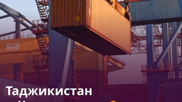 Таджикистан и Кыргызстан наторговали на $29 млн - Sputnik Таджикистан