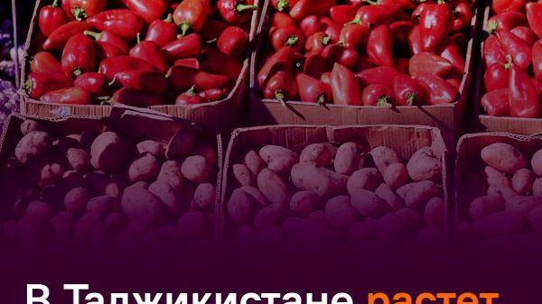 Более $6,8 млрд достиг внешнеторговый оборот Таджикистана - Sputnik Таджикистан