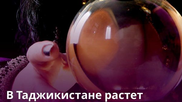 Позолотить ручку: в Таджикистане выявили больше 600 случаев колдовства за полгода - Sputnik Таджикистан