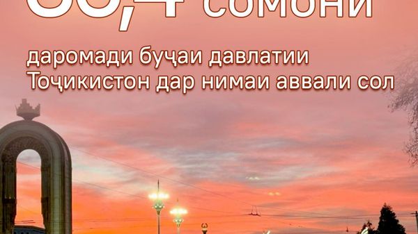 Ба буҷаи Тоҷикистон дар ним сол 36,4 млрд сомонӣ ворид шуд - Sputnik Тоҷикистон