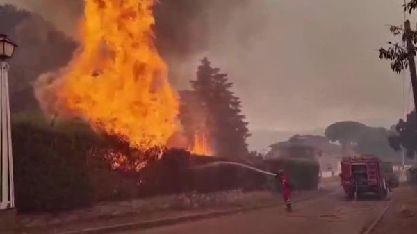 Аврупо ҳамоно дар коми оташ аст: Дар Мадрид аз сабаби сӯхторҳои ҷангал дар сатҳи миллӣ ҳолатҳои фавқуллода ҷорӣ карда шуд - Sputnik Тоҷикистон
