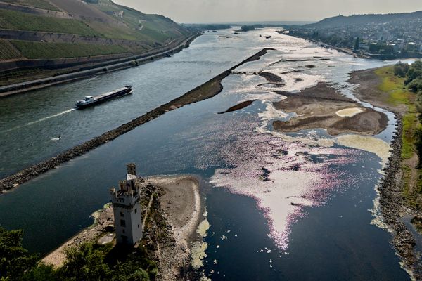 Дар натиҷаи ҳавои гарм дар Бингени Олмон, қисме аз дарёи Рейн хушк шуд. - Sputnik Тоҷикистон