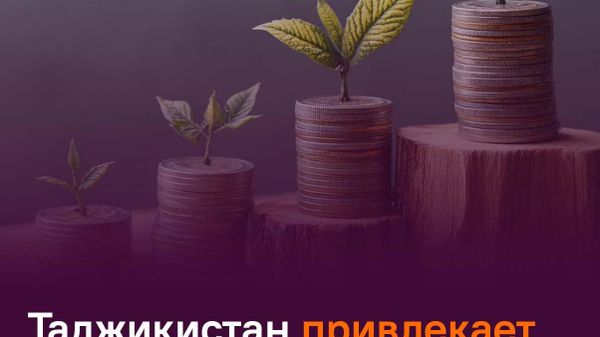 Почти $1,9 млрд зарубежных инвестиций привлек Таджикистан - Sputnik Таджикистан