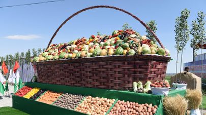 Выставка сельскохозяйственной продукции в Деваштичском районе.