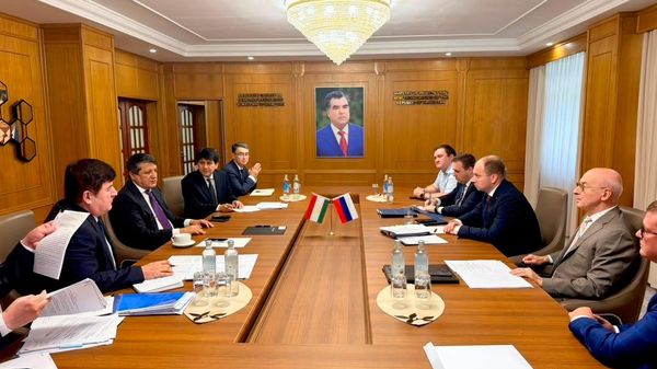 Тоҷикистон барои оғози сохтмони як парки муштараки саноатӣ бо Русия омодагӣ дорад - Sputnik Тоҷикистон