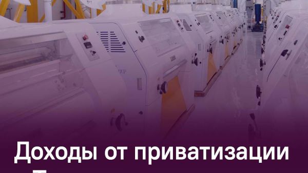Приватизация госсобственности принесла в казну Таджикистана более 56 млн сомони - Sputnik Таджикистан