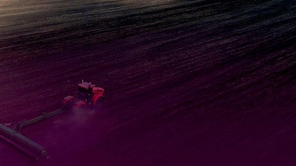 Файзабад произвел сельхозпродукцию на 206,2 млн сомони - Sputnik Таджикистан