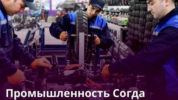 В Согде появилось 66 новых заводов - Sputnik Таджикистан