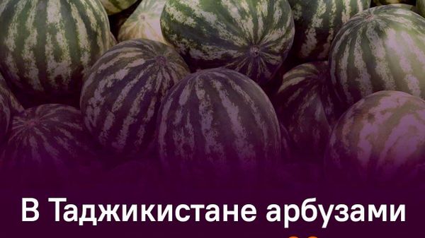 Почти 610,5 тыс - Sputnik Таджикистан