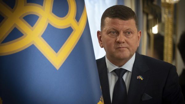 Посол Украины в Великобритании Валерий Залужный.  - Sputnik Тоҷикистон