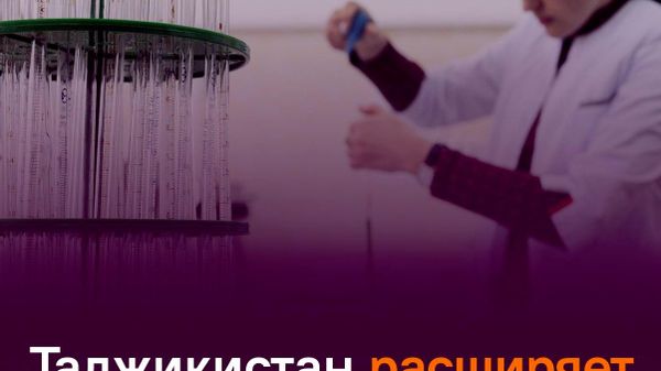 Таджикский горно-металлургический институт начал сотрудничать с 67 вузами из других стран - Sputnik Таджикистан