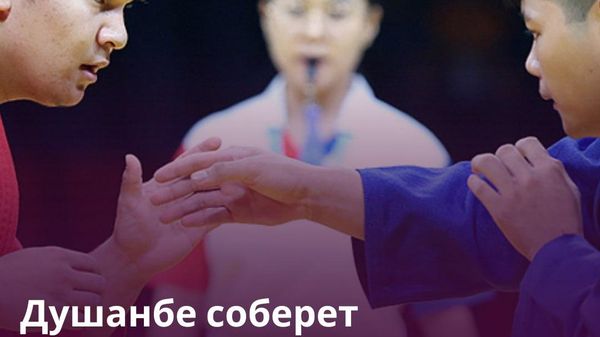 Чемпионат Азии и Океании по самбо-2027 пройдет в Таджикистане - Sputnik Таджикистан