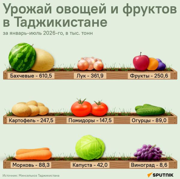 Урожай овощей и фруктов в Таджикистане - Sputnik Таджикистан