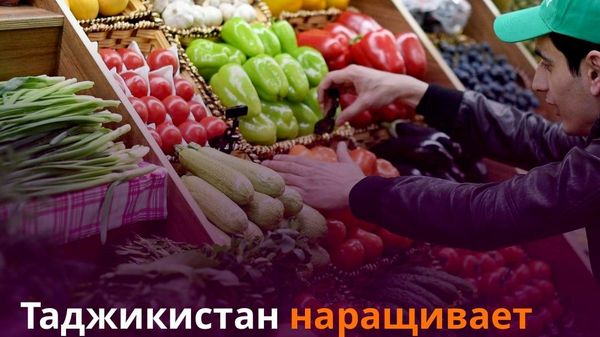 На $348 млн растительной продукции импортировал Таджикистан за полгода - Sputnik Таджикистан
