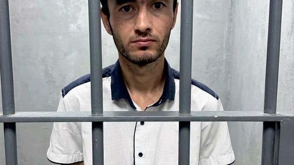 Пулиси Душанбе сокини пойтахтро, ки ба гумони содир кардани ҷинояти махсусан вазнин дар пайгард қарор дода буд, боздошт кард - Sputnik Тоҷикистон