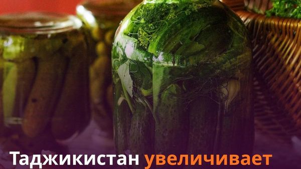 Таджикистан вошел в топ-3 центральноазиатских покупателей российских консервированных овощей - Sputnik Таджикистан