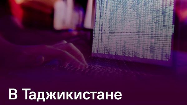 Почти все предприниматели в Гиссаре подают отчеты в электронном формате - Sputnik Таджикистан