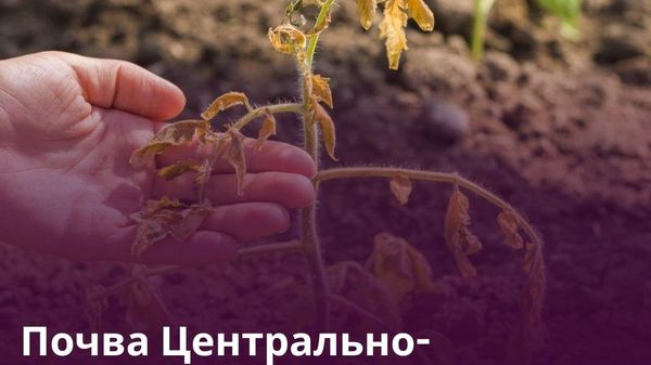 Около 80 млн га земель Центральной Азии деградировали - Sputnik Таджикистан