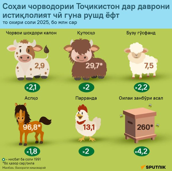 Соҳаи чорводории Тоҷикистон дар даврони истиқлолият чӣ гуна рушд ёфт - Sputnik Тоҷикистон