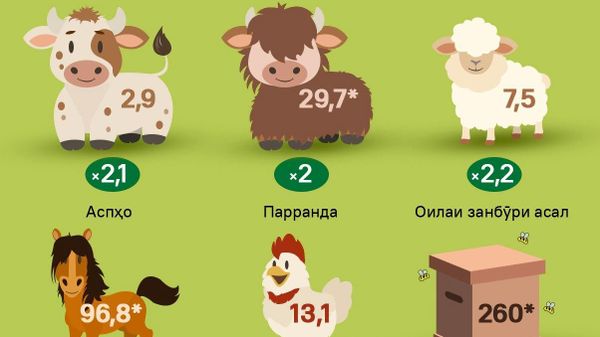 Саршумори чорво дар Тоҷикистон давоми солҳои соҳибистиқлолӣ ба маротиб афзоиш ёфт - Sputnik Тоҷикистон
