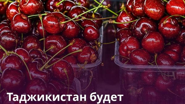 Таджикистан активизирует развитие пищепрома - Sputnik Таджикистан