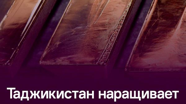 Рекордных $6,8 млрд достигли международные резервы Таджикистана - Sputnik Таджикистан