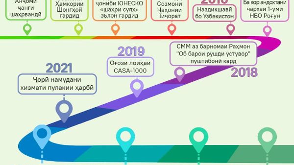 Дар тӯли солҳои истиқлолият, Тоҷикистон дар арсаи сиёсӣ роҳи дуреро тай кардааст - Sputnik Тоҷикистон