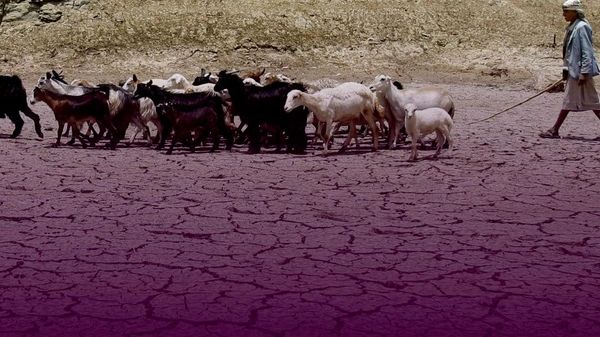 В Таджикистане сельские общины получат новую технику для восстановления земель - Sputnik Таджикистан