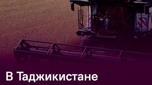 Около 35,8 тыс - Sputnik Таджикистан