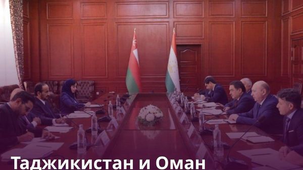 Таджикистан и Оман готовы реализовать совместные инициативы - Sputnik Таджикистан