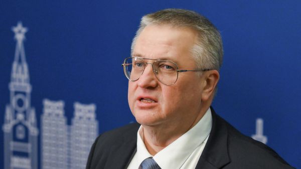 Заместитель председателя правительства РФ Алексей Оверчук - Sputnik Таджикистан