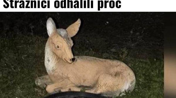 Мужчина целый час охранял раненую косулю, а она оказалась деревянной - Sputnik Таджикистан